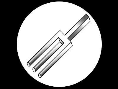 Audible Images History