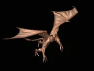 Animated Dragon