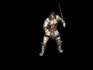 Animated Warrior